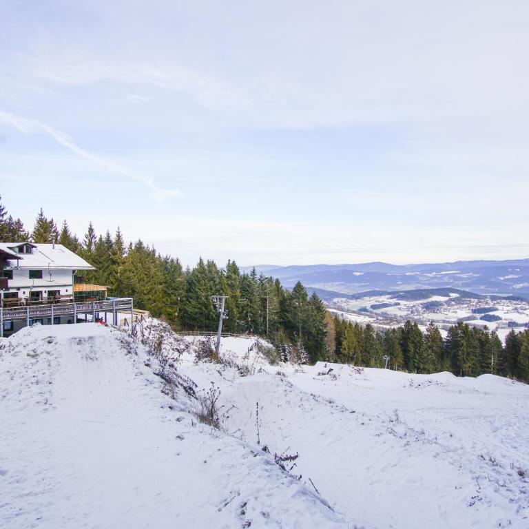 Charmante Ferienwohnung mit Sauna und Schwimmbad im zauberhaften Bayerischen Wald - Apartamento con balcón - 40