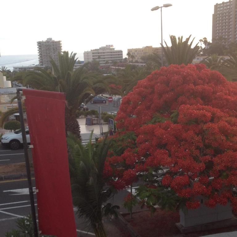 Penthouse El Mirador Los Cristianos Tenerife - VV - Casa con 1 dormitorio - 67
