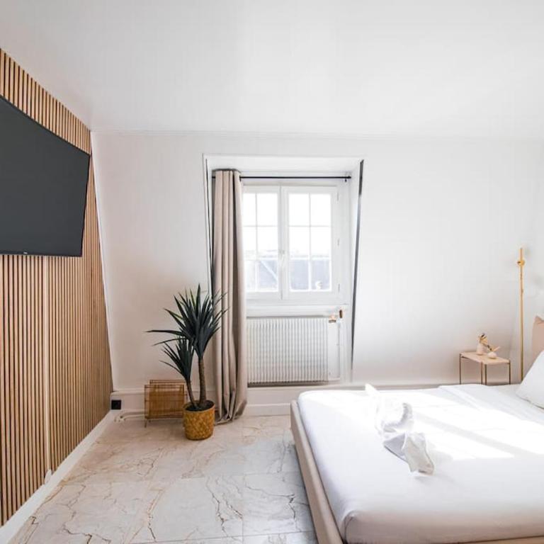 Typical Parisian Studio in Le Marais - Studio - 3