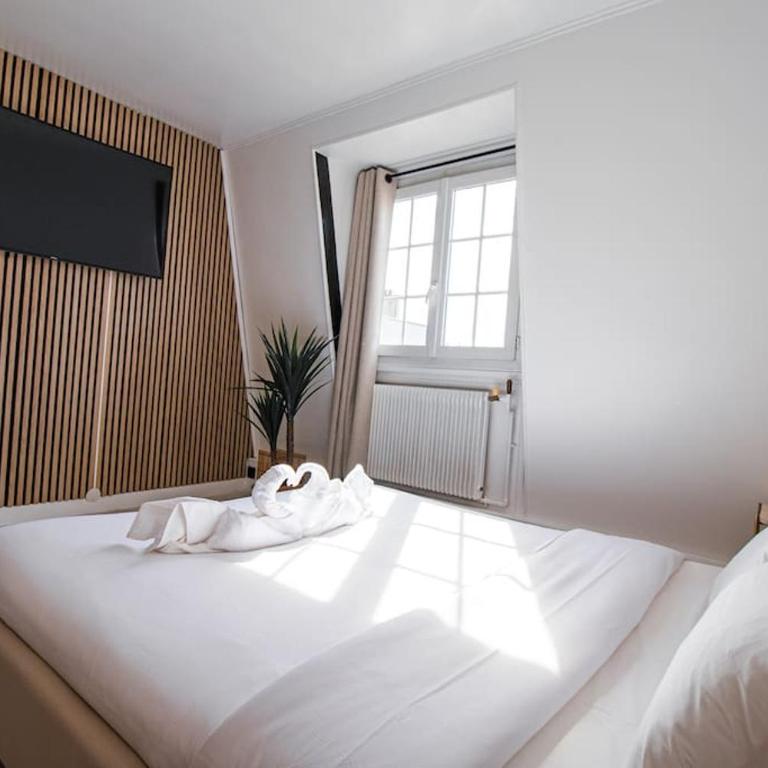 Typical Parisian Studio in Le Marais - Studio - 4