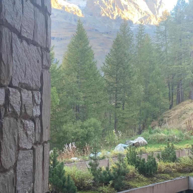 White Star Cervinia - Stunning Matterhorn View with Terrace and Private Parking - Appartamento con 1 Camera da Letto - 75