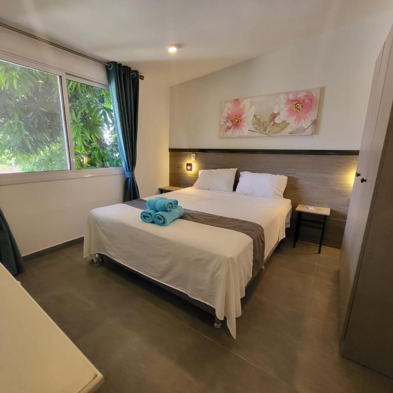 Hotel Oasis-Dream Holidays - La Petite France - Habitación Deluxe - 1 cama grande - 3