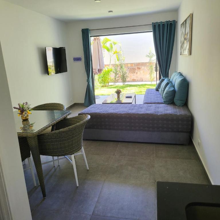 Hotel Oasis-Dream Holidays - La Petite France - Apartamento de 1 dormitorio - 6