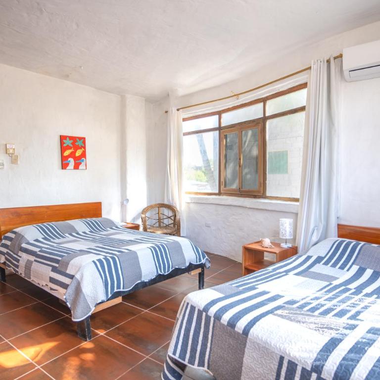Hostal Galapagos by Bar de Beto - Apartamento de 2 dormitorios - 5