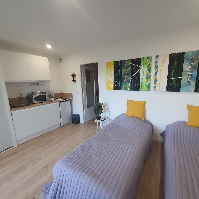 Studio Amèlie les bains - Appartement 1 Chambre - 1
