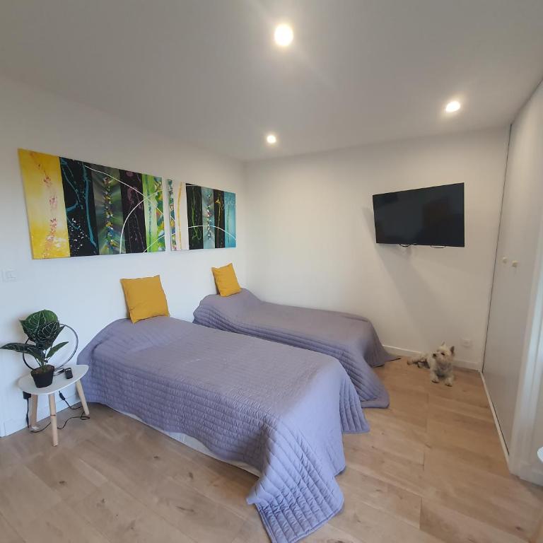 Studio Amèlie les bains - Appartement 1 Chambre - 4