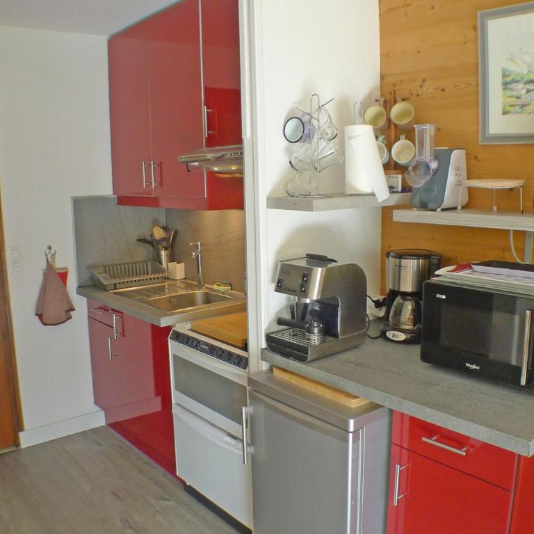 Studio coquet avec terrasse, calme et parking à Samoëns - FR-1-629-86 - Studio - 3