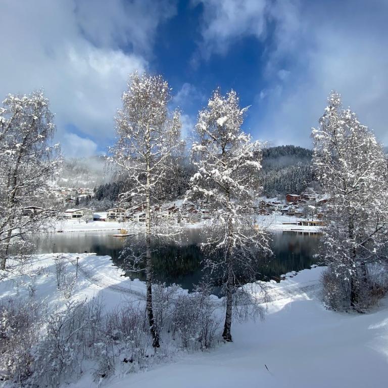 Casa al Lag - direkt am Laaxersee - Apartment mit 3 Schlafzimmern - 25