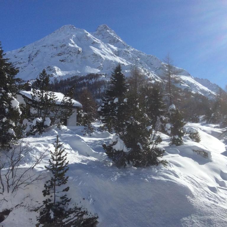 Chesa La Montanella - Ferienwohnung, Maloja - Maisonette - 36