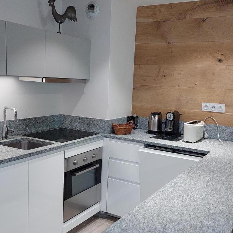 Superbe 3 pièces Chamonix - Jardin privé - Parking - Animaux admis - FR-1-517-25 - Apartment (8 Erwachsene) - 1