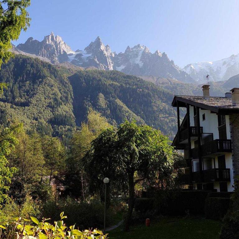 Superbe 3 pièces Chamonix - Jardin privé - Parking - Animaux admis - FR-1-517-25 - Apartment (8 Erwachsene) - 3