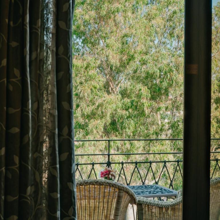 Rigat Park & Spa Hotel - Adults Recommended - Camera Matrimoniale Classic con Vista Parco e Accesso Spa - 5