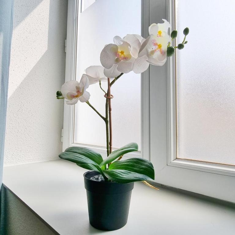 Chez JM - Calme - Chic - Fibre - Relax BNB - Apartamento de 1 dormitorio - 32