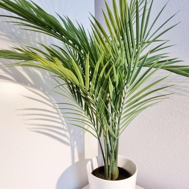 Chez JM - Calme - Chic - Fibre - Relax BNB - Apartamento de 1 dormitorio - 36