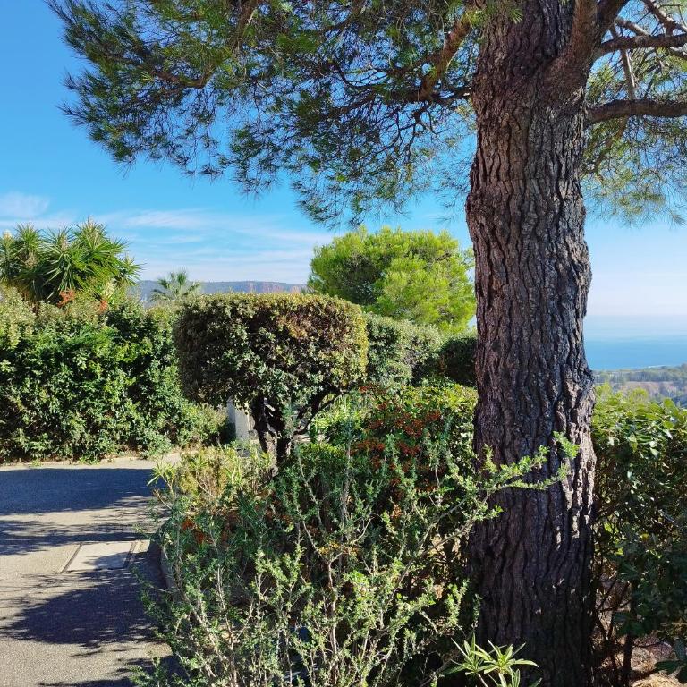 Sweet Calanque - Host Provence - Appartement 1 Chambre - 27