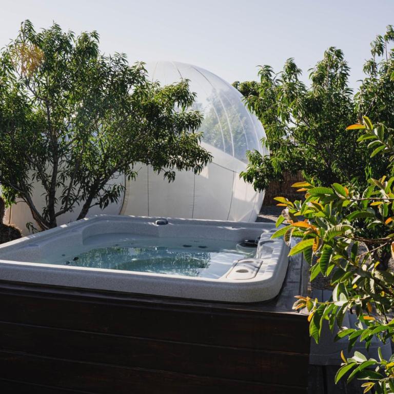 Campera Valle de Guadalupe - Bubble Deluxe with Hot Tub - 10