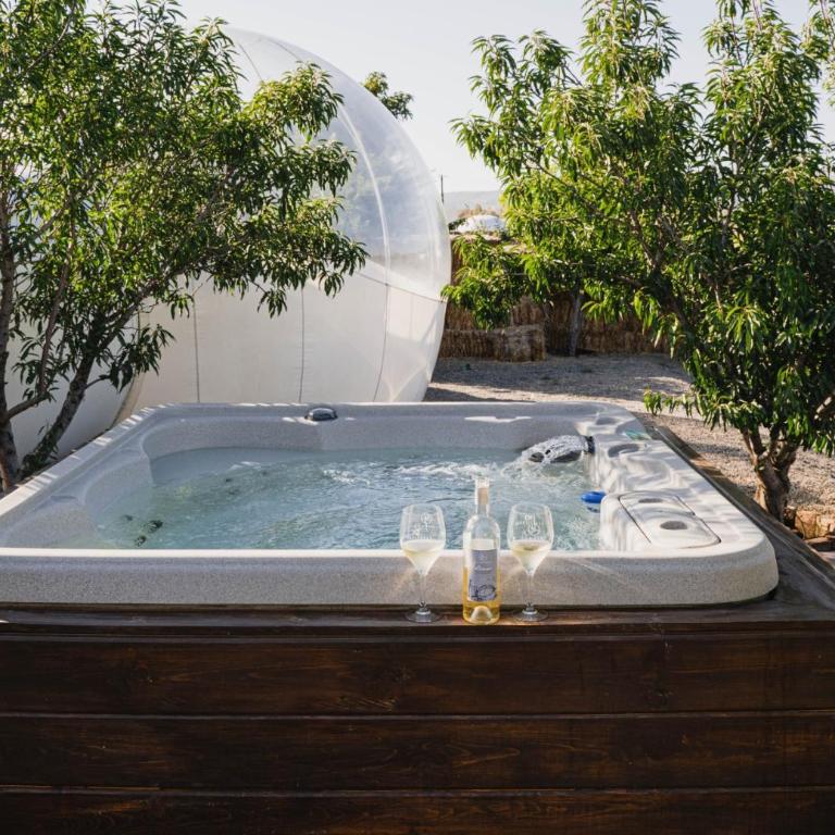 Campera Valle de Guadalupe - Bubble Deluxe with Hot Tub - 11