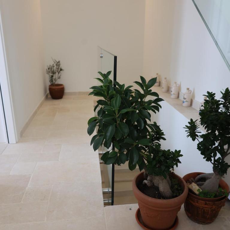 Suites Dimora Garibaldi - Suite con Bagno Turco - 11