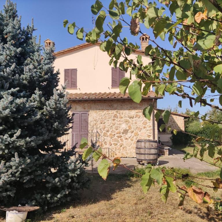 Villa Caini - country house - Appartamento con 3 Camere da Letto - 35