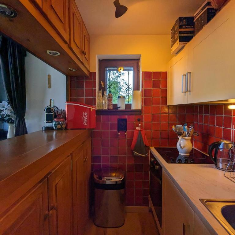 Duplex cosy 6 pers avec 2 balcons & parking à La Clusaz - FR-1-459-214 - Apartment - 8