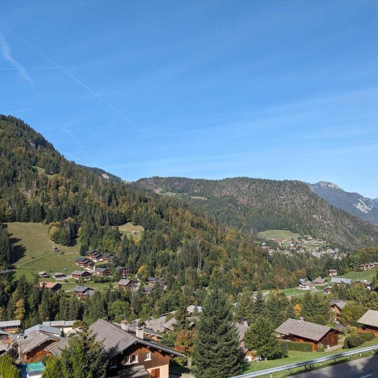 Duplex cosy 6 pers avec 2 balcons & parking à La Clusaz - FR-1-459-214 - Apartment - 11