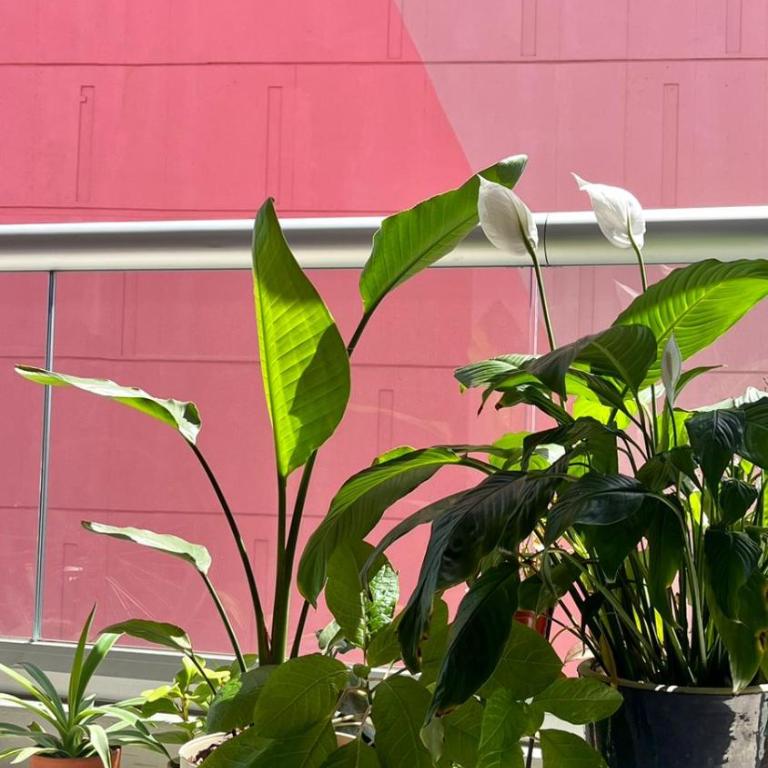 Puerto de Olivos inn - Apartamento de 1 dormitorio - 11