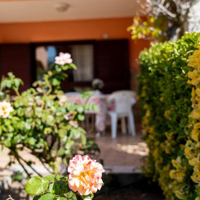Sardegnadream - Casa con 2 Camere da Letto - 2