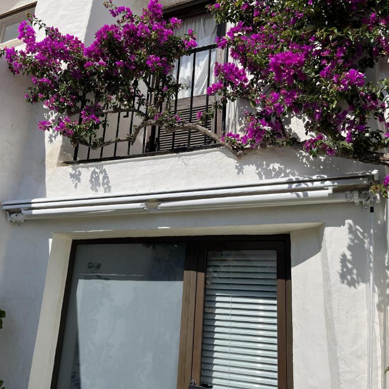 Estepona - Playa - 2 dormitorios con terraza y jardín al lado del mar Jo6 - Apartamento de 2 dormitorios - 24