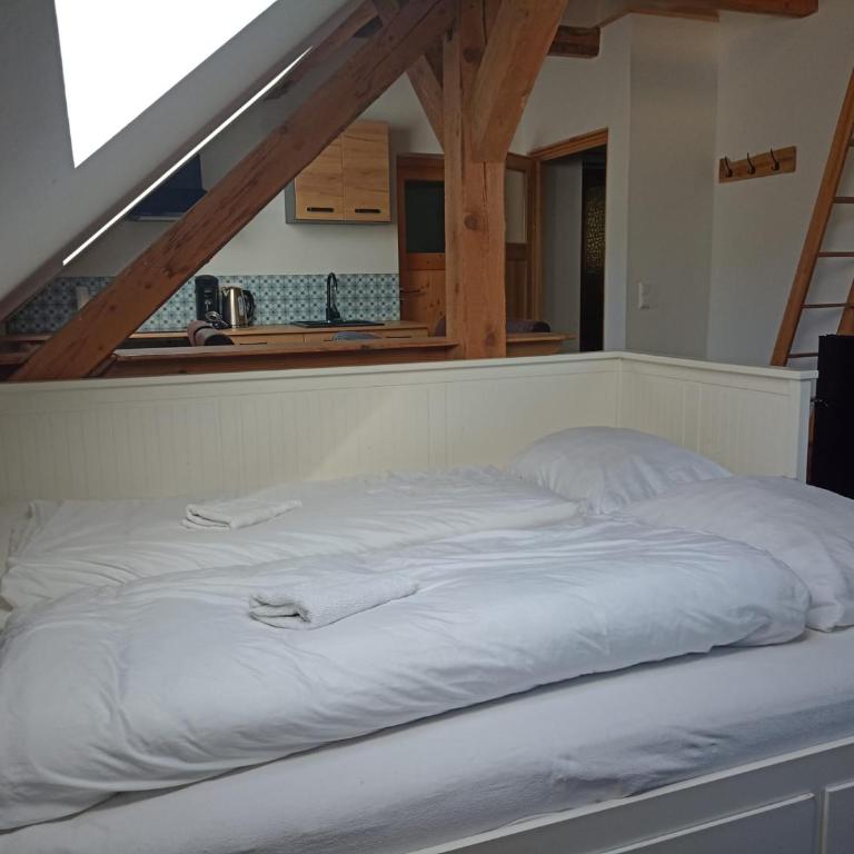 Haus Zurrik - Studio - 5