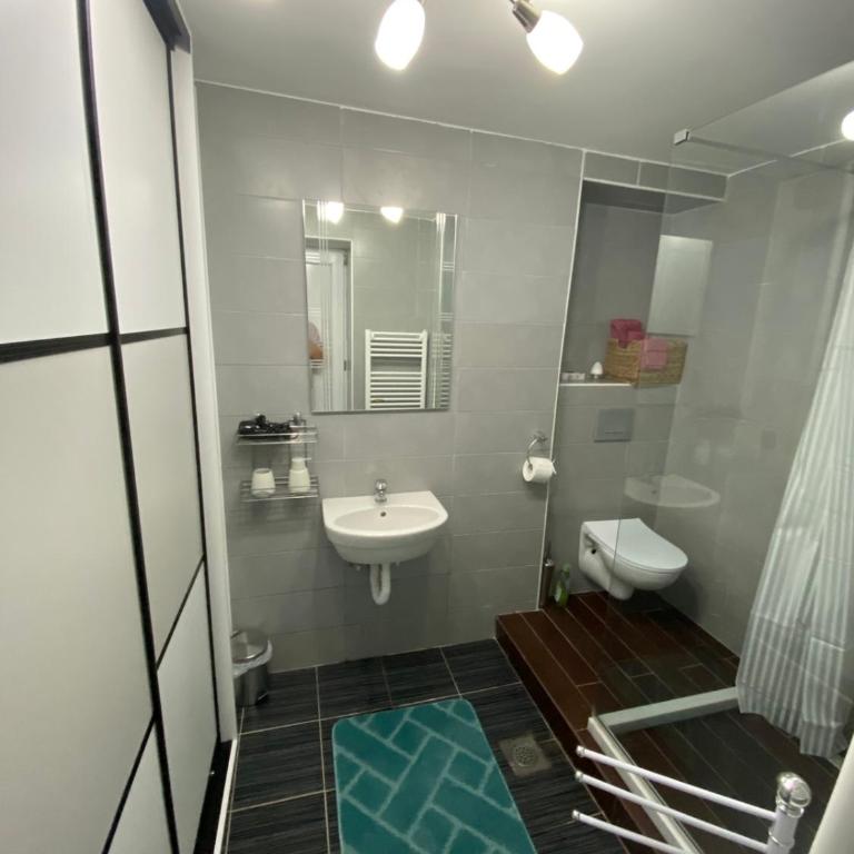 Apartmani Sandra - Apartman sa 1 Spavaćom Sobom - 9