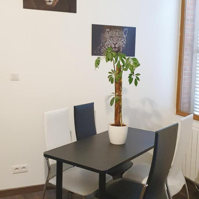 Escapade blésoise - Appartamento con 1 Camera da Letto - 14