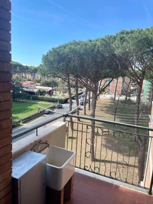 Delizioso appartamento vista mare e pineta - Appartamento con 1 Camera da Letto - 6