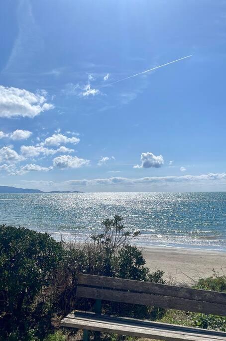 Delizioso appartamento vista mare e pineta - Appartamento con 1 Camera da Letto - 7
