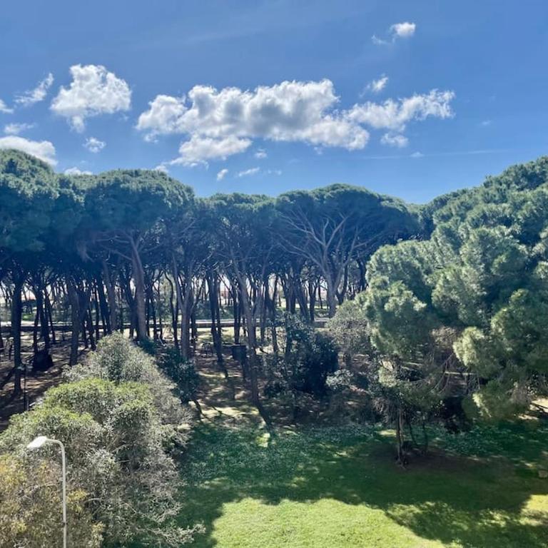 Delizioso appartamento vista mare e pineta - Appartamento con 1 Camera da Letto - 9