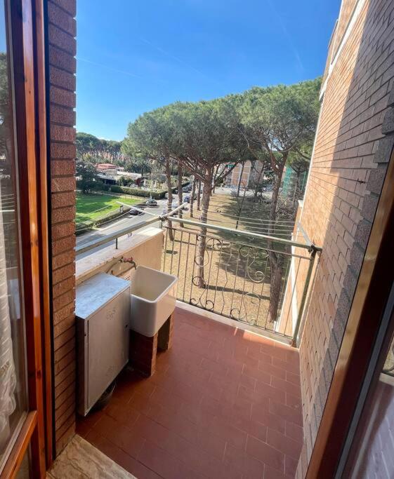 Delizioso appartamento vista mare e pineta - Appartamento con 1 Camera da Letto - 10