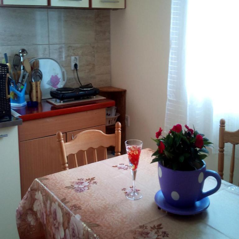 Apartment Vukanic - Apartment with Sea View - 9