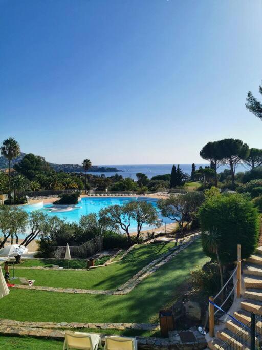 Cap Esterél studio vue mer 5 pers premium place - Apartment mit Meerblick - 21