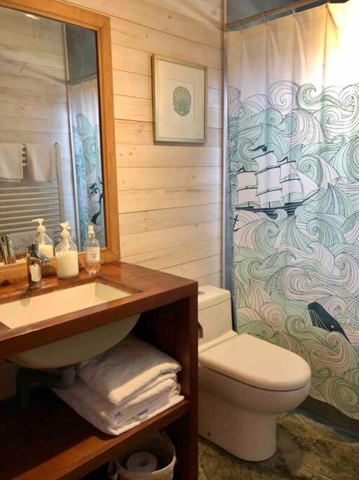Casa sector Punta de Lobos, Pichilemu - One-Bedroom House - 17