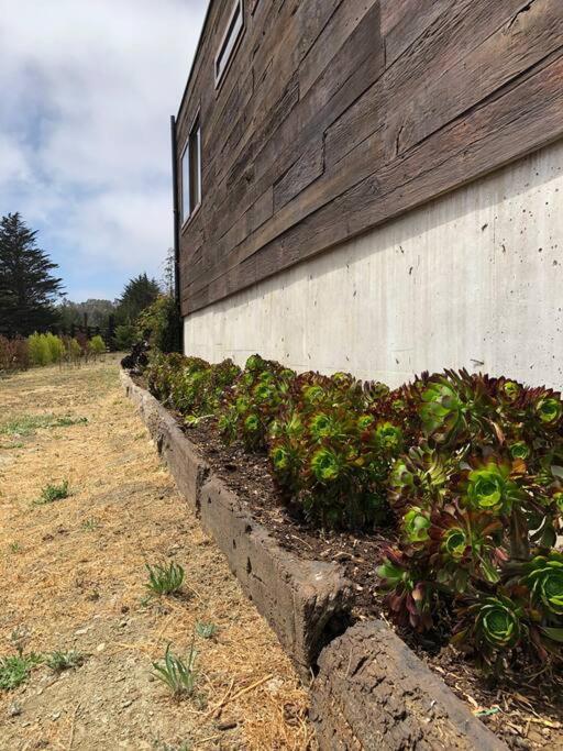 Casa sector Punta de Lobos, Pichilemu - One-Bedroom House - 23