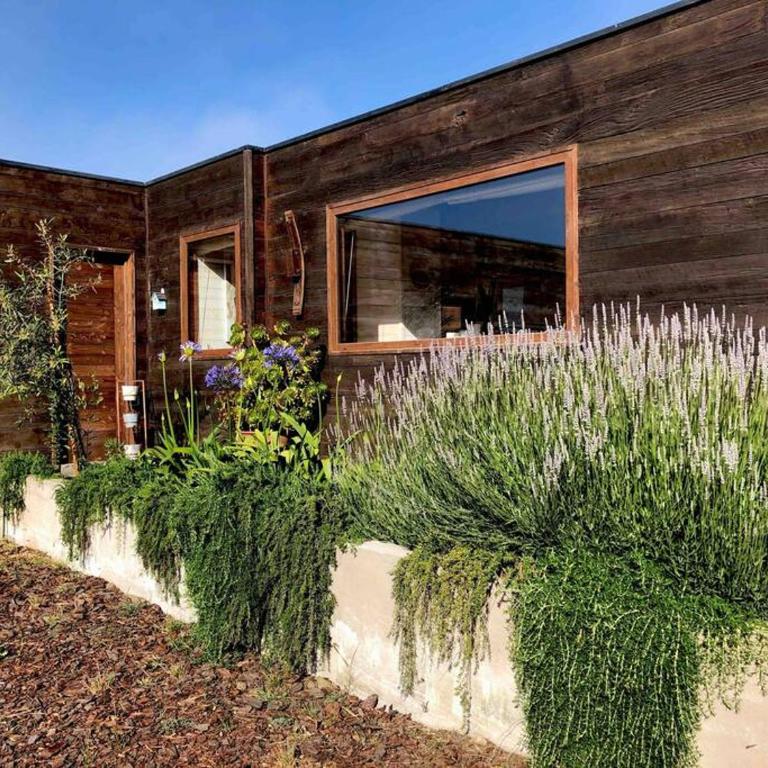 Casa sector Punta de Lobos, Pichilemu - One-Bedroom House - 41