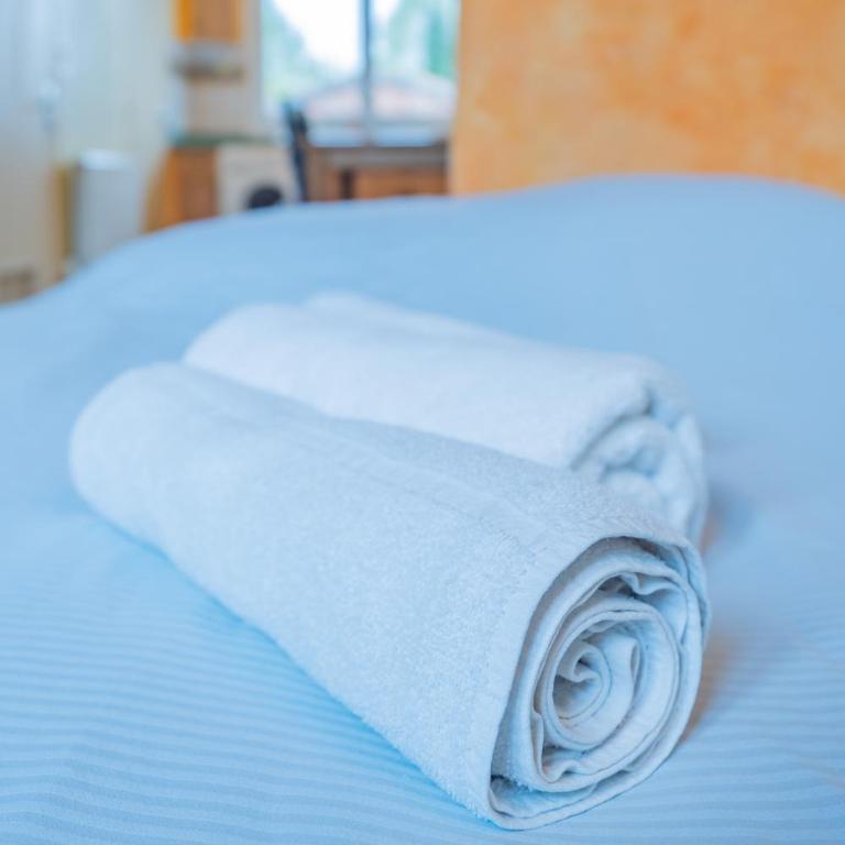 Room in Toulouse - Studio proche Airbus Toulouse St Martin Touch - Studio-Apartment - 12