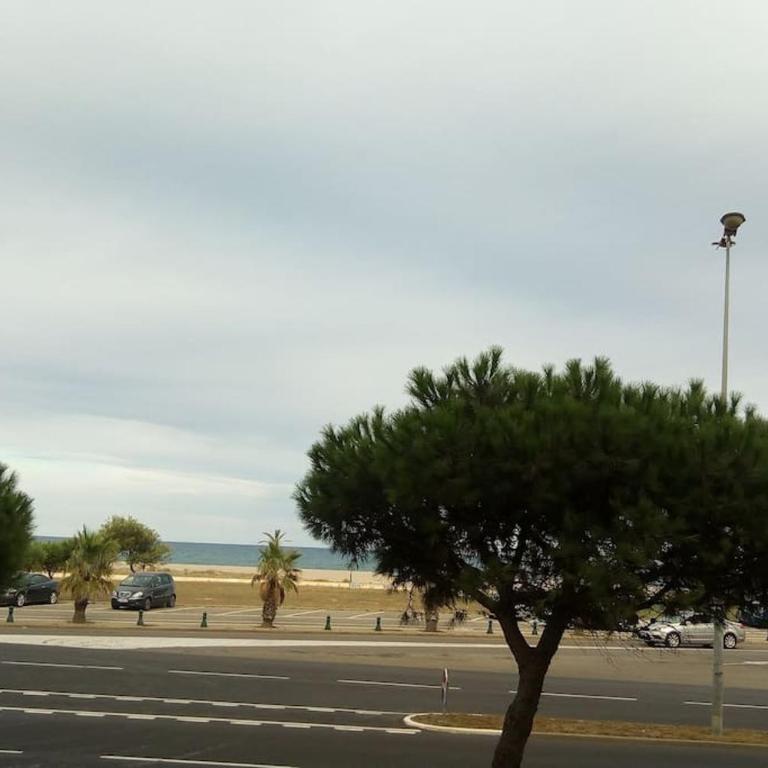 T3 tout confort en front de mer, clim - Apartamento de 2 dormitorios - 5