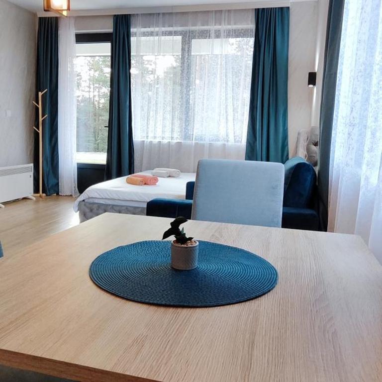 Sumski san 5 - Apartman sa 1 Spavaćom Sobom - 16
