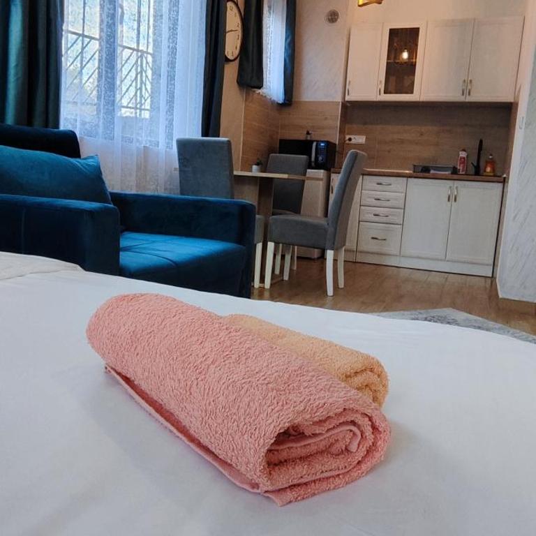 Sumski san 5 - Apartman sa 1 Spavaćom Sobom - 17