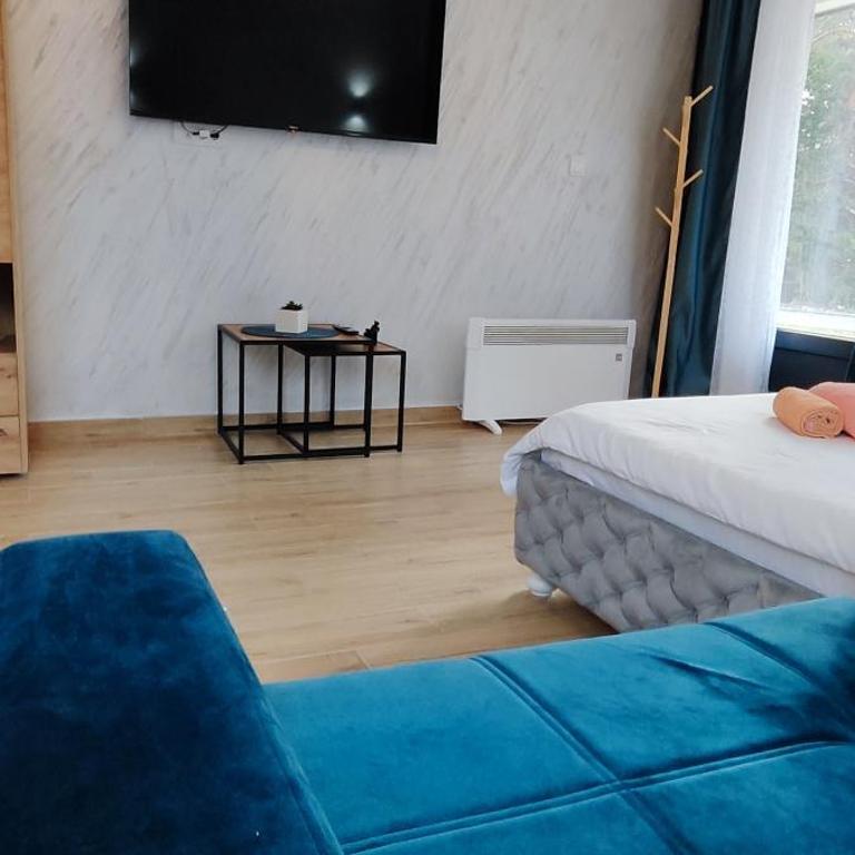 Sumski san 5 - Apartman sa 1 Spavaćom Sobom - 10