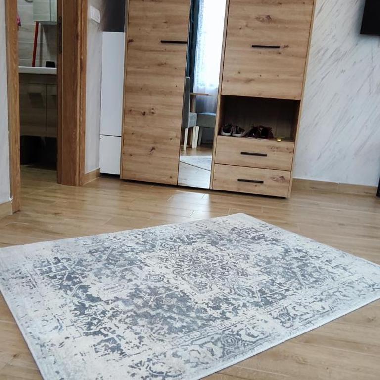 Sumski san 5 - Apartman sa 1 Spavaćom Sobom - 26