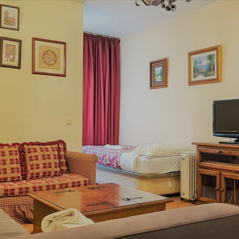 SKI & SNOW APARTMENTOS by TODOSIERRANEVADA - Plaza de Andalucia - Junto a los Telecabinas - Apartamento de 1 dormitorio - 10