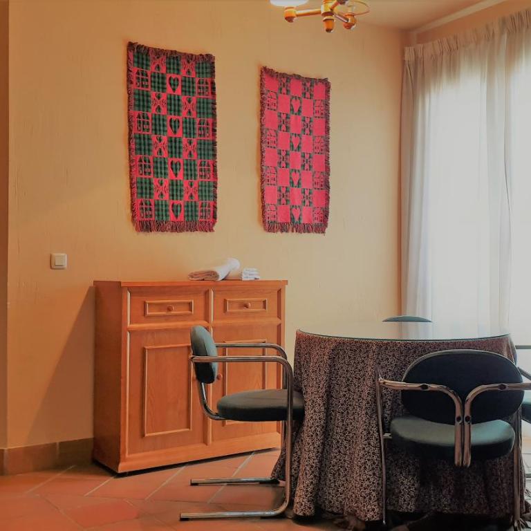 SKI & SNOW APARTMENTOS by TODOSIERRANEVADA - Plaza de Andalucia - Junto a los Telecabinas - Apartamento de 1 dormitorio - 23