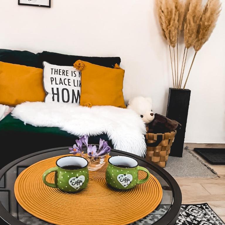 Apartman TRAG Divčibare - Studio sa Bračnim Krevetom (King-size) - 13