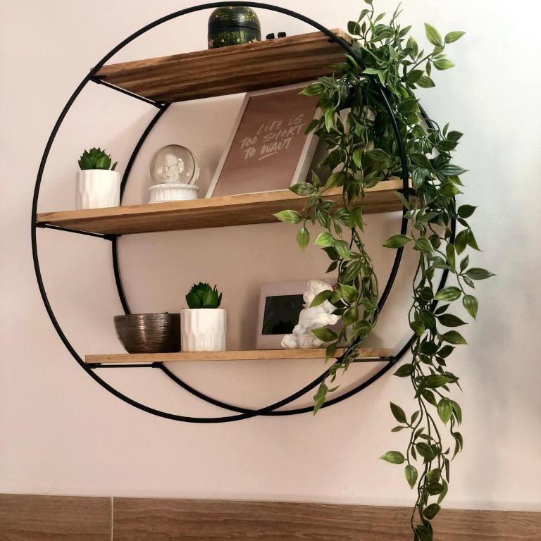 Apartman TRAG Divčibare - Studio sa Bračnim Krevetom (King-size) - 19